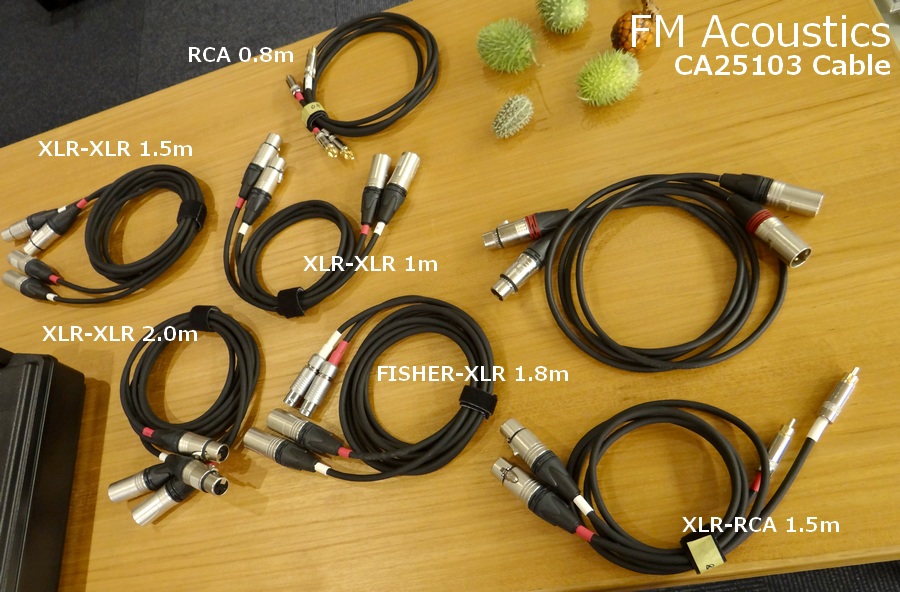 FM Acoustics CA25103ケーブル・オリジナル